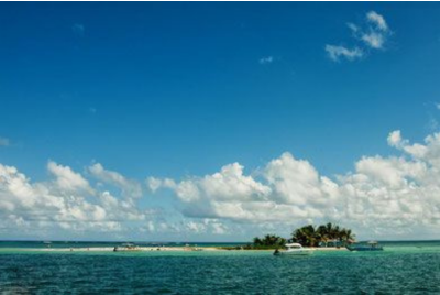 Ecotour dans le Grand Cul-de-sac marin - Guadeloupe