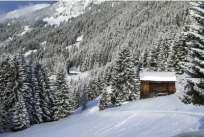 Journée en Raquettes à Neige - Découverte - Massif Vosgien