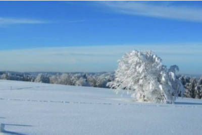 Journée en Raquettes à Neige - Découverte - Massif Vosgien