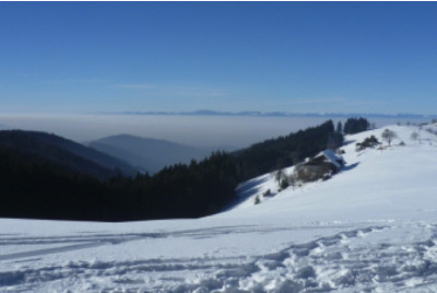 Journée en Raquettes à Neige - Découverte - Massif Vosgien