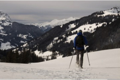 Journée en Raquettes à Neige - Découverte - Massif Vosgien