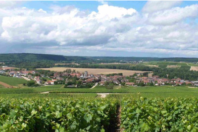 Randonnée en Buggy dans les vignes près d'Autun et Beaune