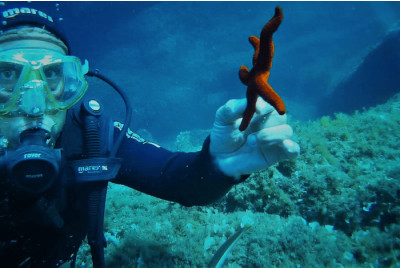 Randonnée palmée Snorkeling à Ajaccio en Corse