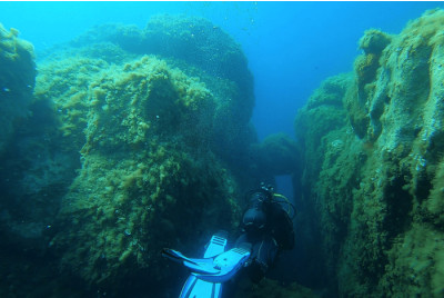 Randonnée palmée Snorkeling à Ajaccio en Corse