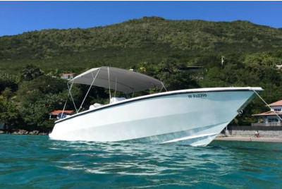 Excursion en bateau à la découverte des Dauphins - Martinique