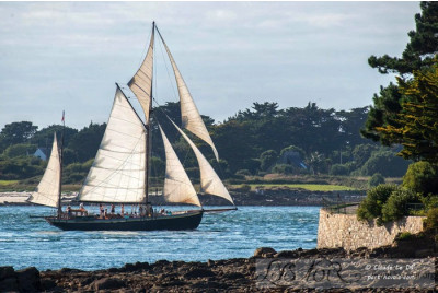 Croisière en vieux gréement dans le Golfe du Morbihan