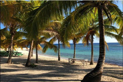 Stage de survie en République Dominicaine - Caraïbes