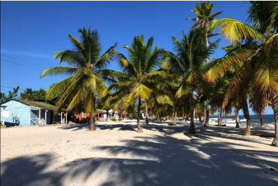 Stage de survie en République Dominicaine - Caraïbes