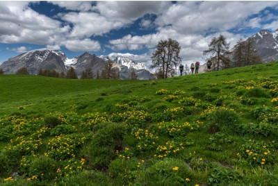 Stage de survie dans la vallée de Barcelonnette - Proche Gap