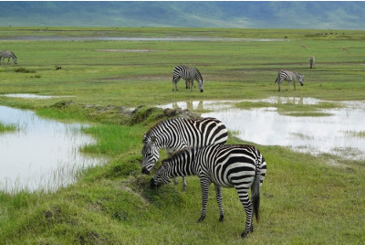 Stage de survie en Afrique Bushmen - Tanzanie