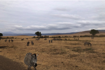 Stage de survie en Afrique Bushmen - Tanzanie