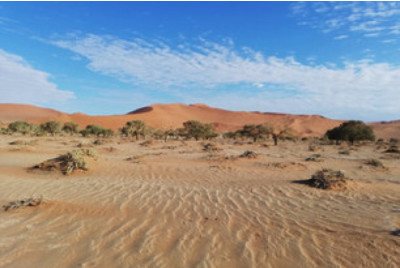 Stage de survie en Afrique - Namibie
