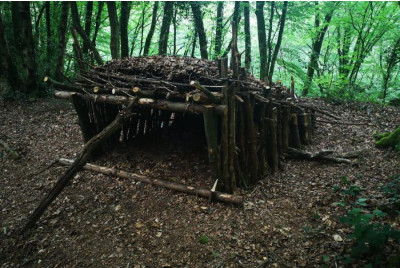 Stage de survie en Forêt à Saint-Brieuc - Bretagne