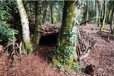 Stage de survie en Forêt à Saint-Brieuc - Bretagne