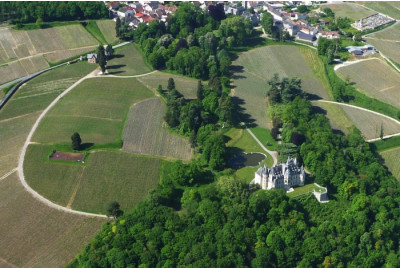 Vol en ULM autogire au dessus du Vignoble Champenois - proche Reims