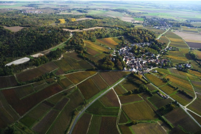 Vol en ULM autogire au dessus du Vignoble Champenois - proche Reims