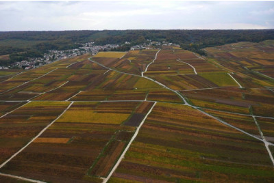 Vol en ULM autogire au dessus du Vignoble Champenois - proche Reims