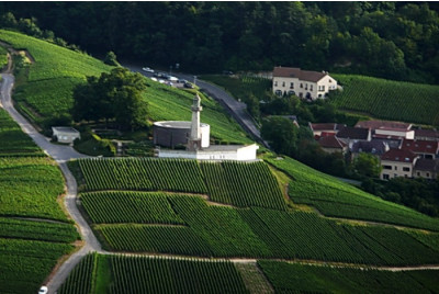 Vol en ULM autogire au dessus du Vignoble Champenois - proche Reims