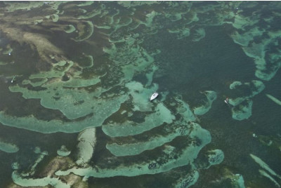 Vol en ULM Autogire au dessus de la Martinique