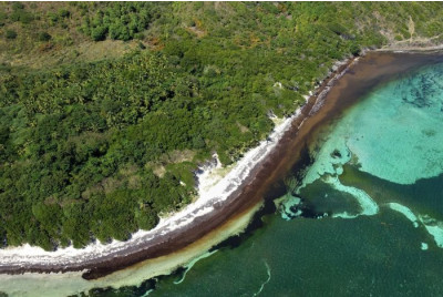 Vol en ULM Autogire au dessus de la Martinique