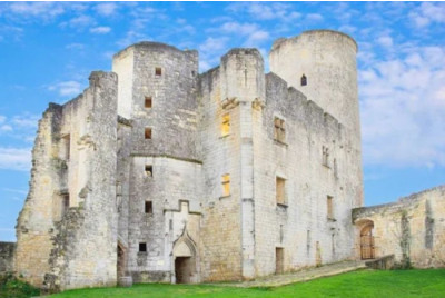 Baptême et Initiation ULM Pendulaire - Circuit des Châteaux - proche Bordeaux