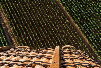 Baptême en Montgolfière en Bourgogne - Beaune - Pommard