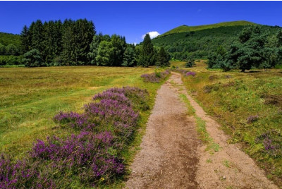 Vol Touristique en ULM Pendulaire Chaîne des Puys - Auvergne