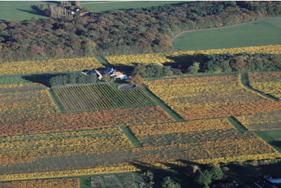 Baptême en Avion léger - Châteaux de la Loire