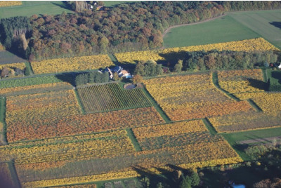 Baptême en Avion léger - Châteaux de la Loire