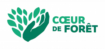 Cœur de Forêt